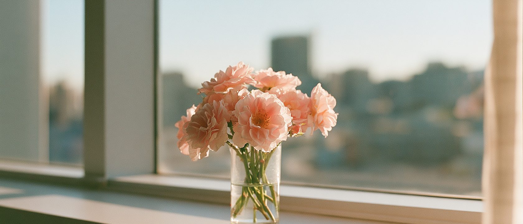 窓辺の花